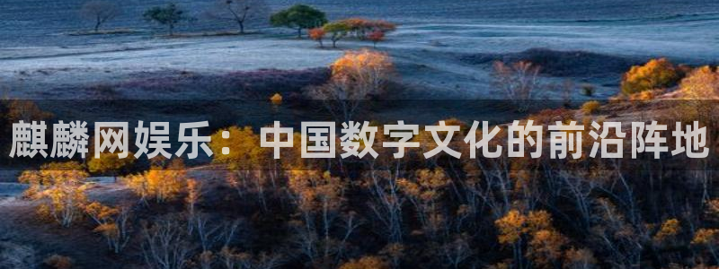 意昂2登录：麒麟网娱乐：中国数字文化的前沿阵地