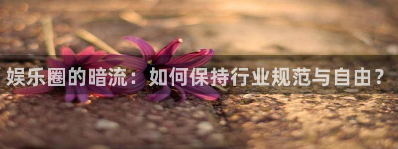 意昂2登录：娱乐圈的暗流：如何保持行业规范与自由？
