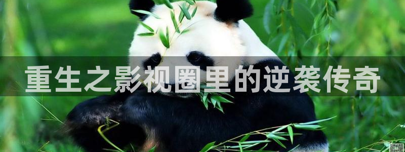 意昂2登录：重生之影视圈里的逆袭传奇