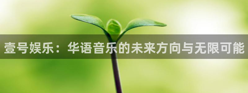 意昂2代理注册：壹号娱乐：华语音乐的未来方向与无限可能