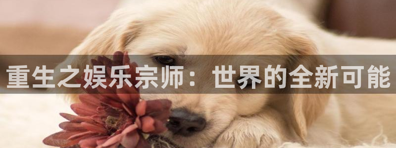 意昂2代理注册：重生之娱乐宗师：世界的全新可能