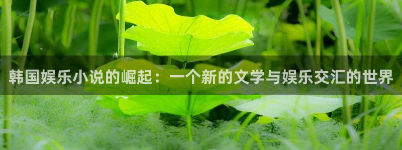意昂2登录：韩国娱乐小说的崛起：一个新的文学与娱乐交汇的世界