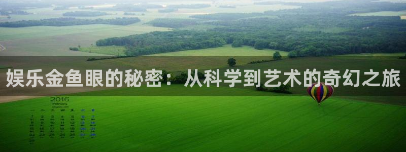 意昂2代理注册：娱乐金鱼眼的秘密：从科学到艺术的奇幻之旅