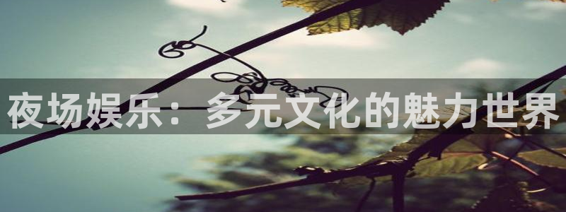 意昂2登录：夜场娱乐：多元文化的魅力世界