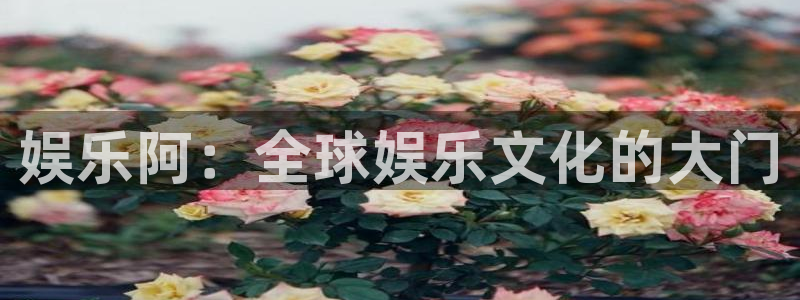 意昂2代理注册：娱乐阿：全球娱乐文化的大门